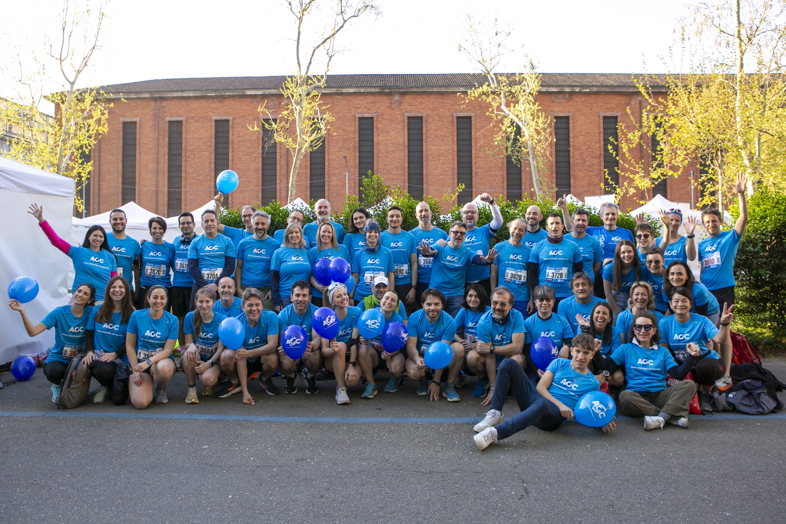 Cover image for Cataratta Congenita