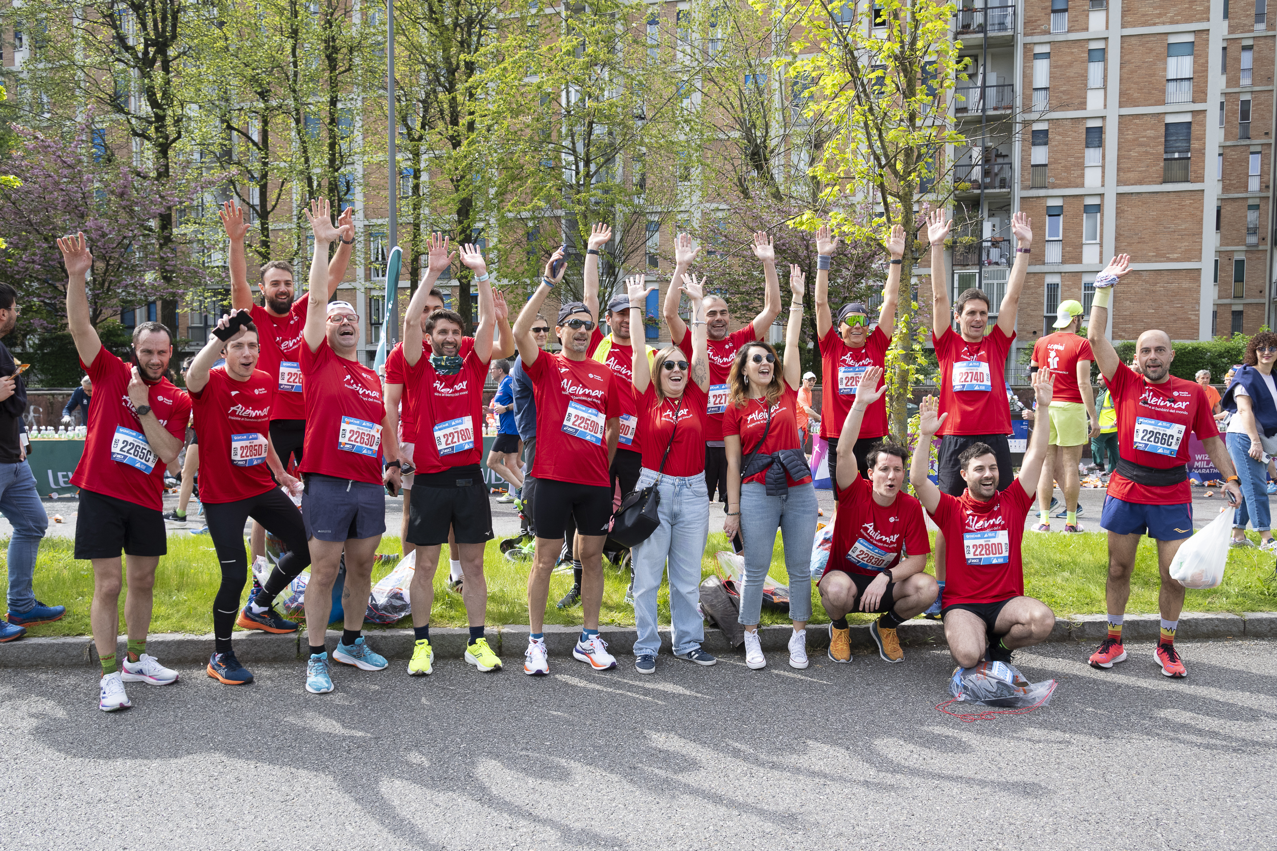 Cover image for Aleimar