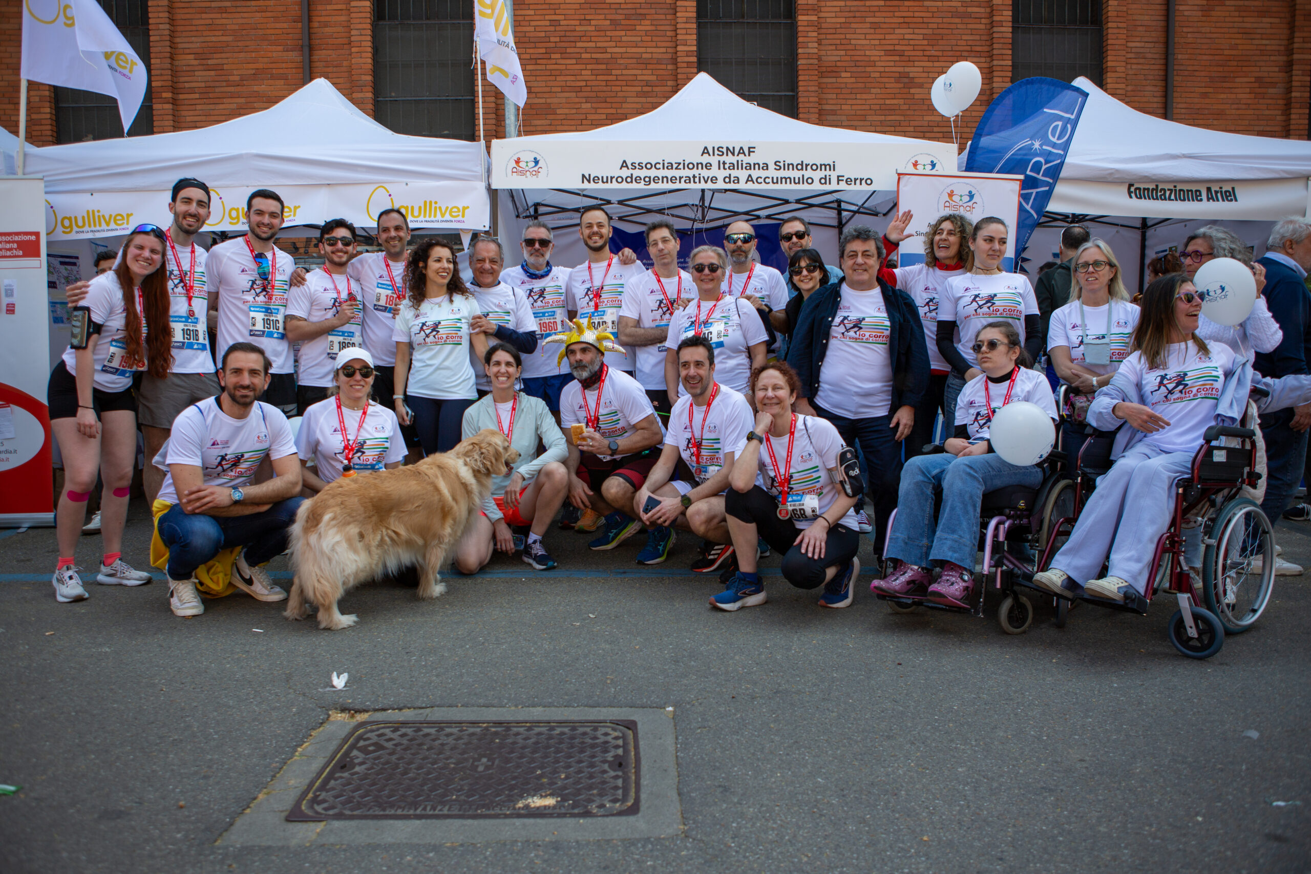 Cover image for AISNAF