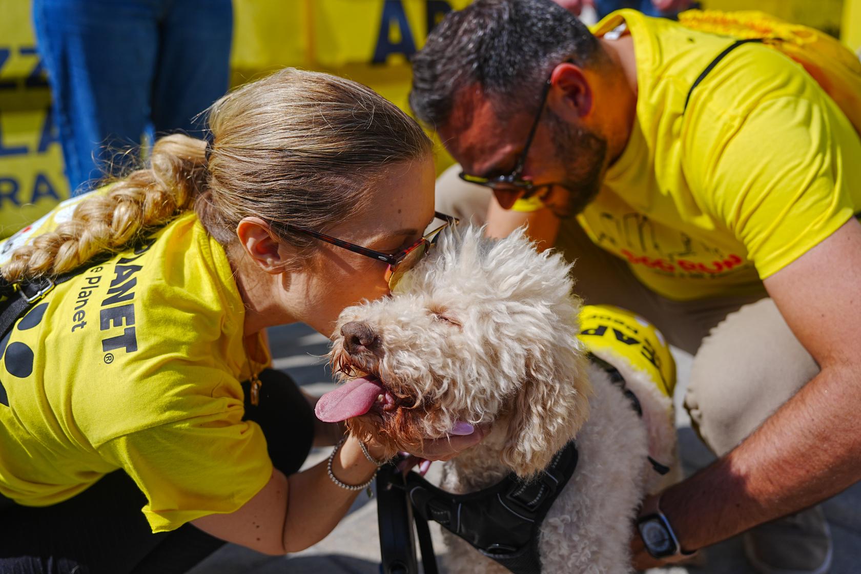 Milano Marathon — Dog Run