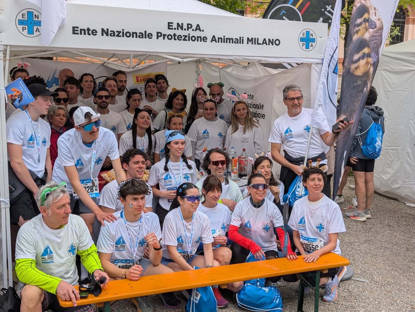 Cover image for ENPA Milano